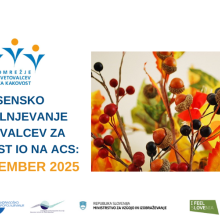 Invitation to the autumn training for adult education quality cpunsellors, which will take place on 20 November 2025