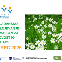 We are announcing spring training for the quality counsellors network on 19th of March